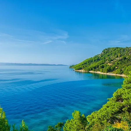 Goran * إيغراني