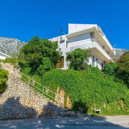 Goran إيغراني